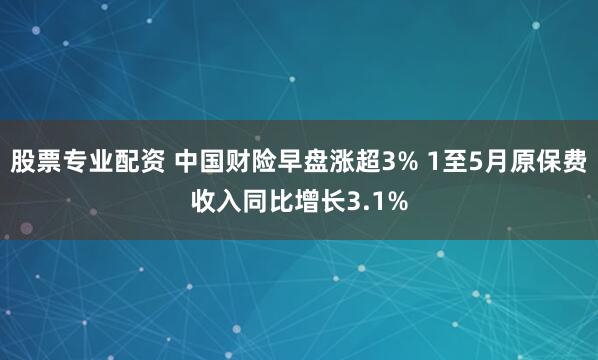 股票专业配资 中国财险早盘涨超3% 1至5月原保费收入同比增长3.1%