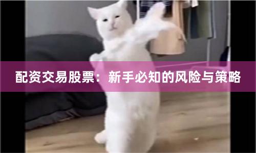 配资交易股票：新手必知的风险与策略